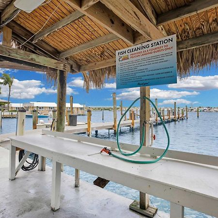 St Kitts - Downtown Waterfront Penthouse Pool Dock Parking Villa Кей Уест Екстериор снимка